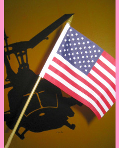 U.S. Stick Flag