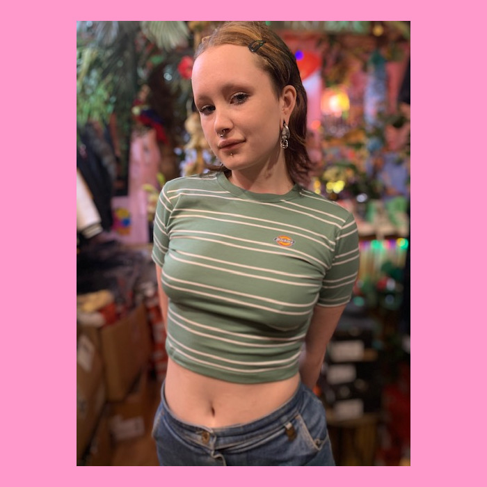 dickies westover shirt