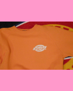 Energy Orange dickies briggsville Sweatshirt