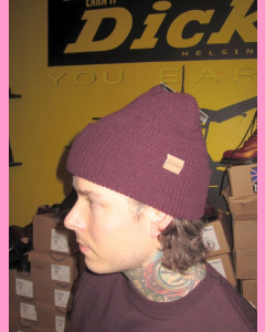 dickies dundas beanie