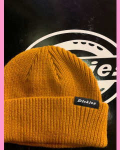 Pumpkin Spice Dickies Woodworth Beanie